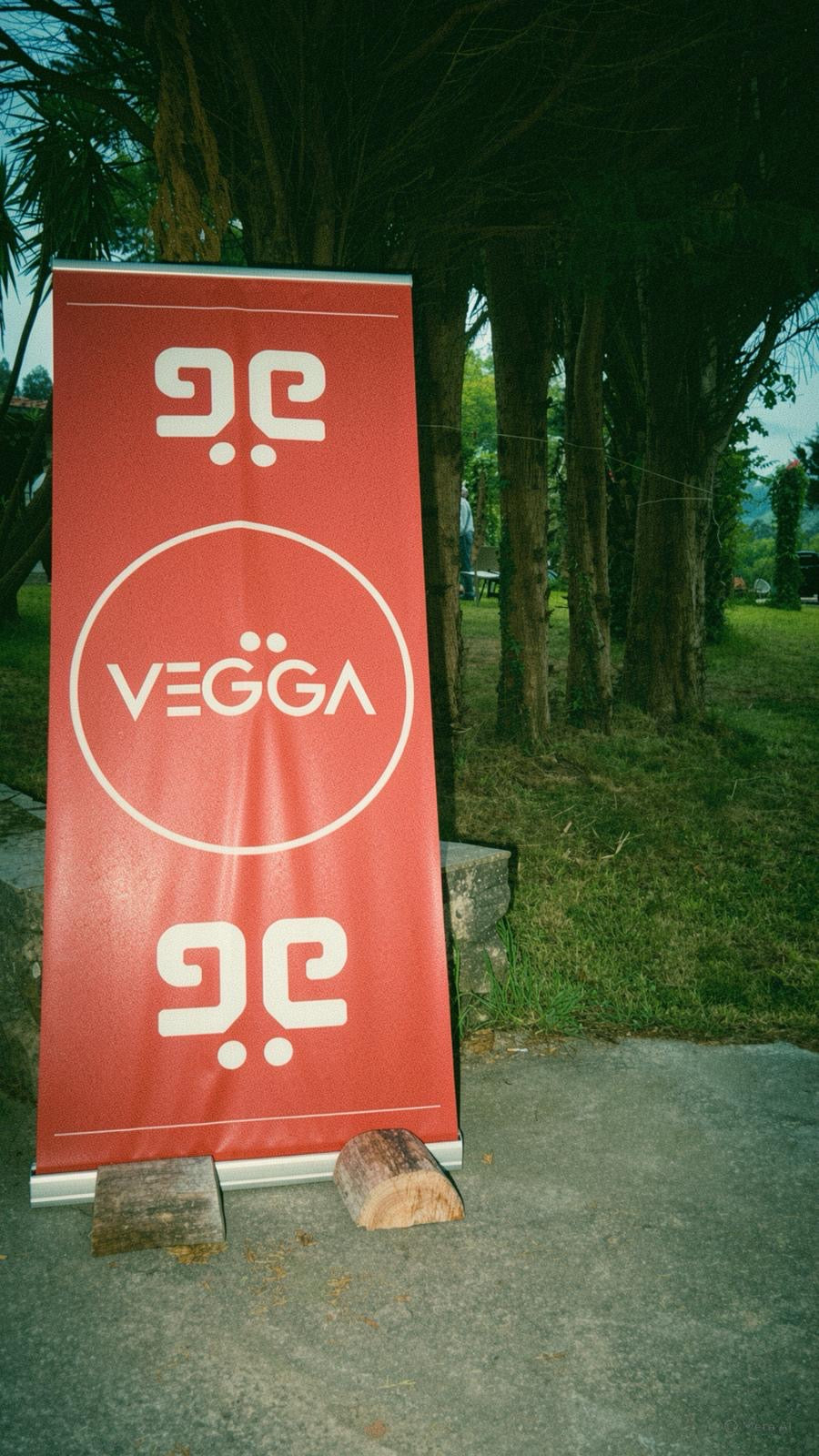 Vegga ambiente